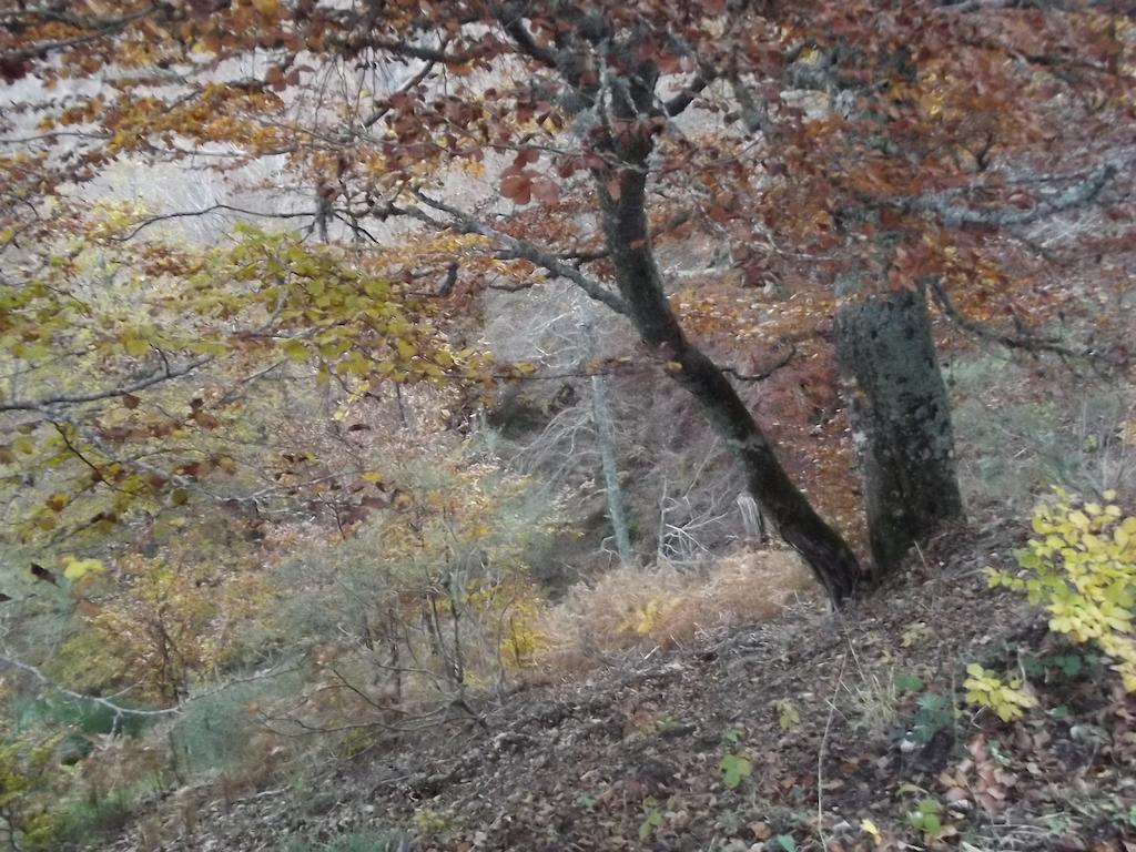 Montana Palentina Otel Guardo Dış mekan fotoğraf